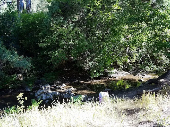 Capulin Campground Picture 5