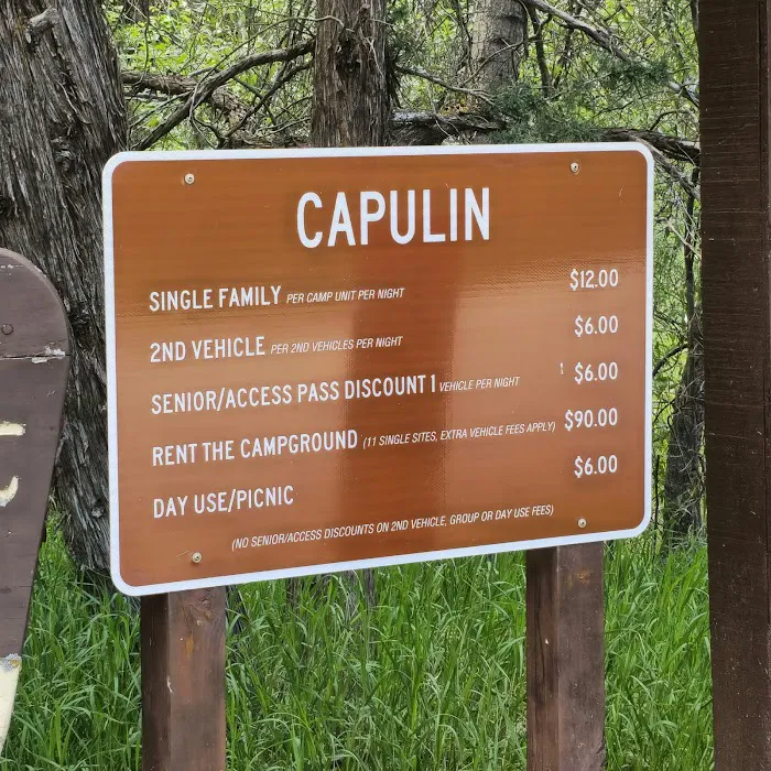 Capulin Campground Picture 4