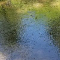 La Sombra Campground ico