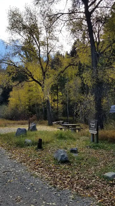La Sombra Campground Picture 5