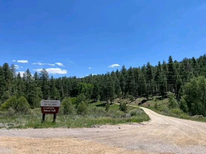 Amole Canyon Group Shelter Picture 5