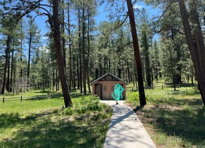 Amole Canyon Group Shelter Picture 7