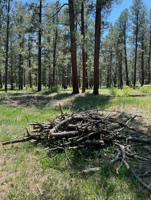 Amole Canyon Group Shelter Picture 10
