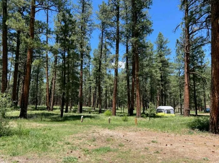 Amole Canyon Group Shelter Picture 9