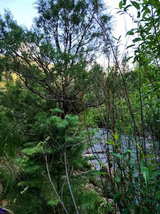 Comales Campground Picture 3