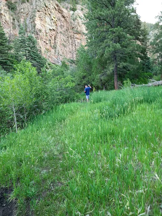 Comales Campground Picture 9