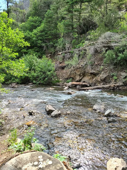 Comales Campground Picture 6