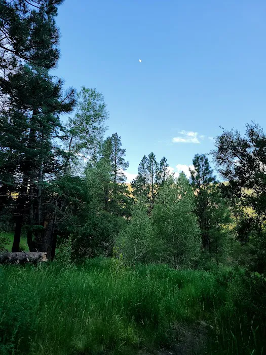 Comales Campground Picture 8