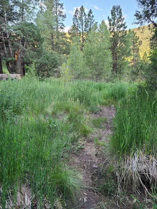 Comales Campground Picture 4