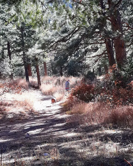 Comales Campground Picture 1