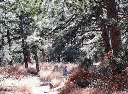 Comales Campground