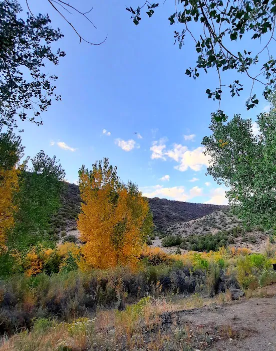 Rio Bravo Campground Picture 4
