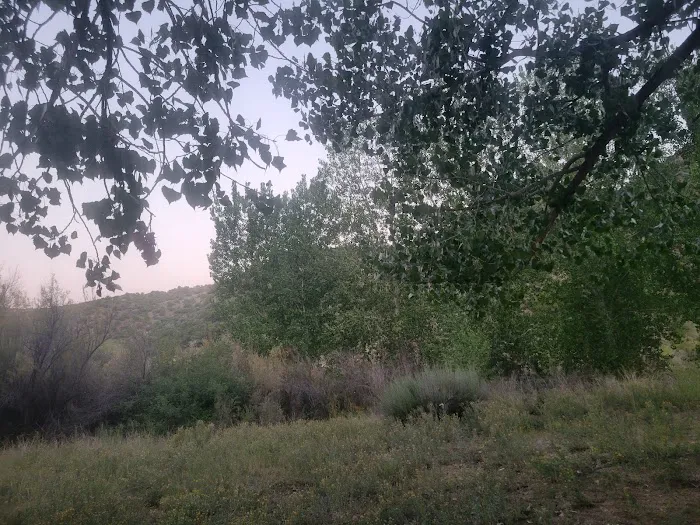 Rio Bravo Campground Picture 9