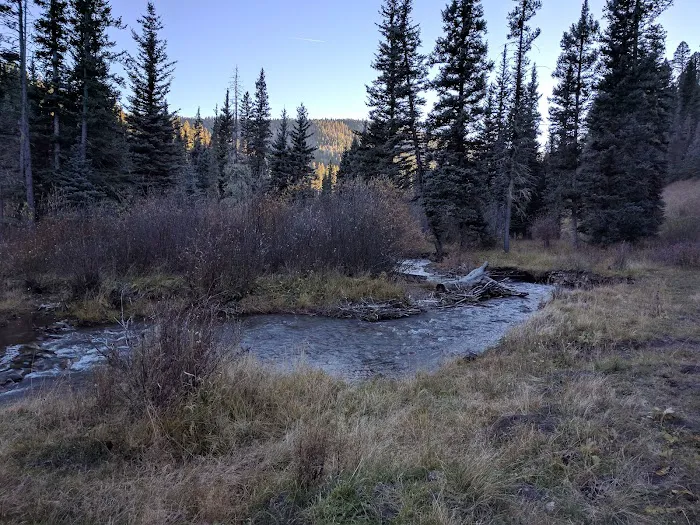 Upper La Junta Campground Picture 1
