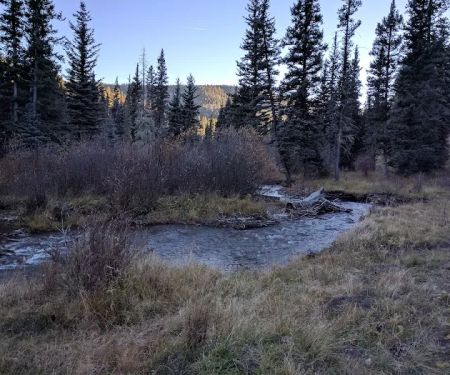 Upper La Junta Campground