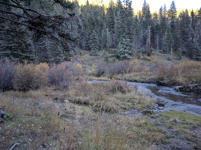 Upper La Junta Campground Picture 2