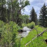 Agua Piedra Campground