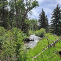 Agua Piedra Campground ico