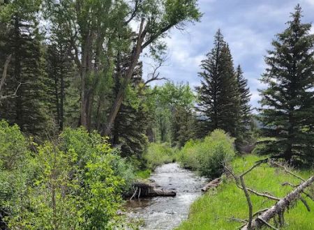 Agua Piedra Campground