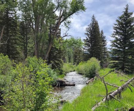Agua Piedra Campground