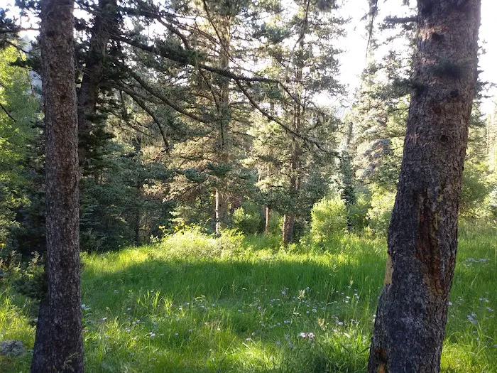 Duran Canyon Campground Picture 9