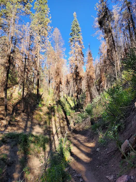 Lower Hermosa Campground Picture 1