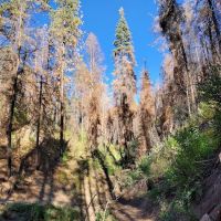 Lower Hermosa Campground ico