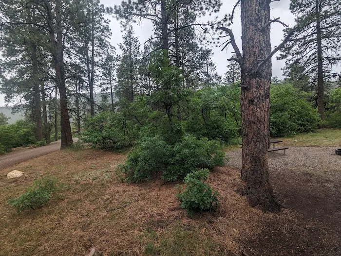 Lower Hermosa Campground Picture 6