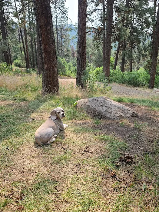 Lower Hermosa Campground Picture 10