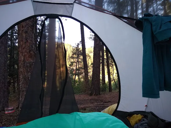Junction Creek Campground Picture 1