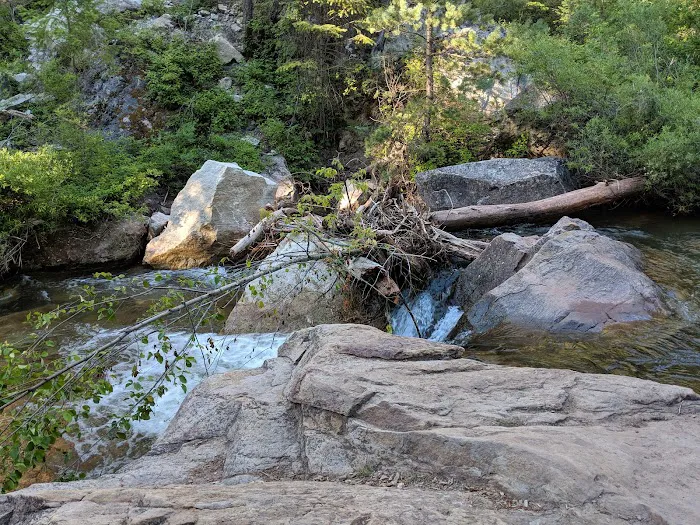 Junction Creek Campground Picture 8