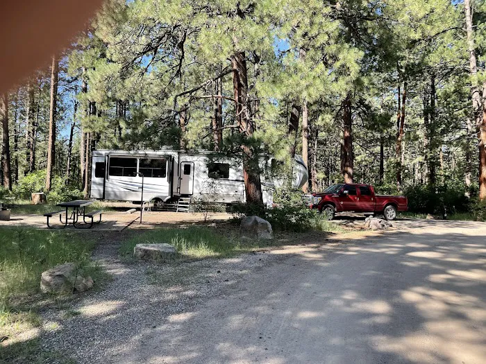 Junction Creek Campground Picture 4