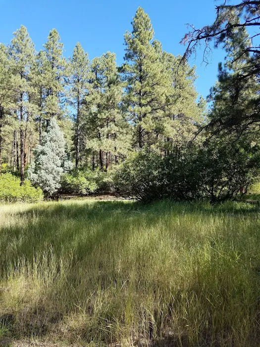 Junction Creek Campground Picture 7