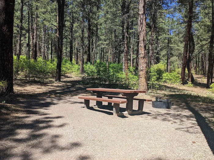 Junction Creek Campground Picture 9