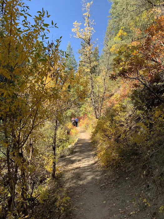 Junction Creek Campground Picture 6