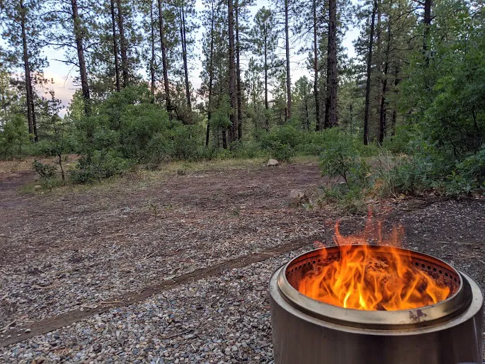 Junction Creek Campground Picture 3