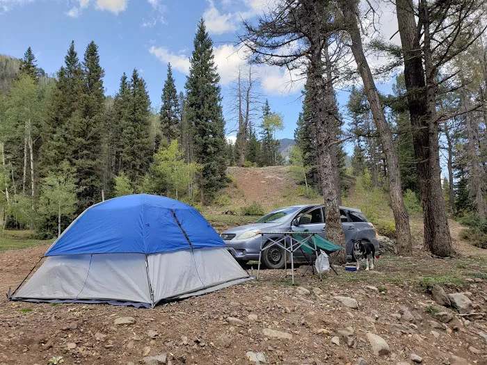 La Plata City Campsite Picture 2