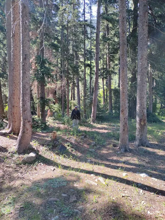 La Plata City Campsite Picture 9