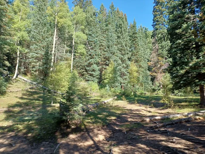 La Plata City Campsite Picture 7