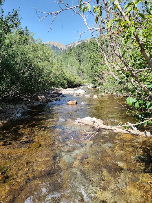 La Plata City Campsite Picture 6