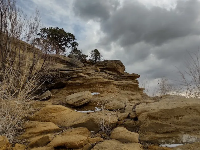 Sims Mesa Campground Picture 3