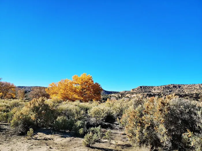 Crusher Campground Picture 6