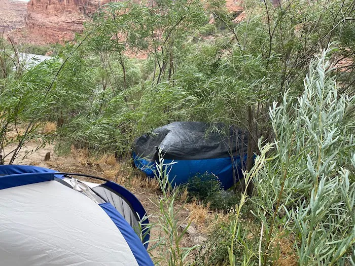 Goose Island Campground Picture 5