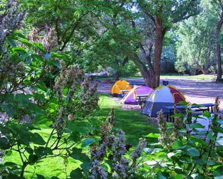 Up the Creek Campground Picture 4