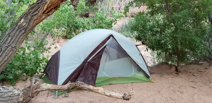 Hunter Canyon/Spring Canyon Camping Area Picture 1