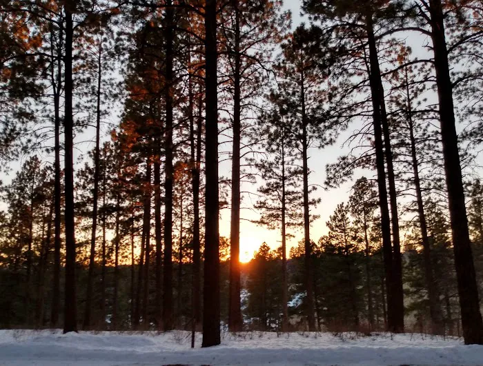 Main Campground Picture 2