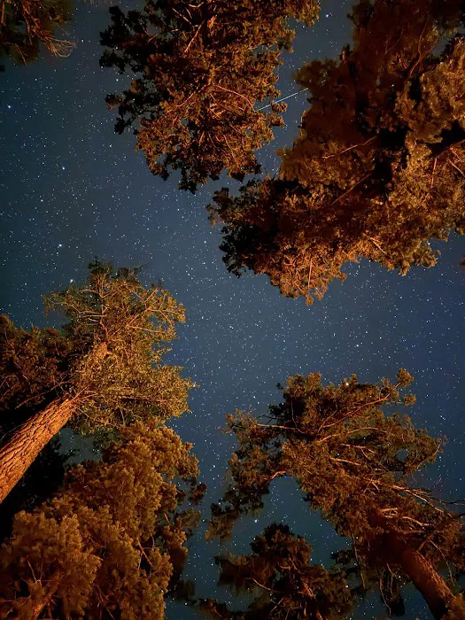 Kroeger Campground Picture 2