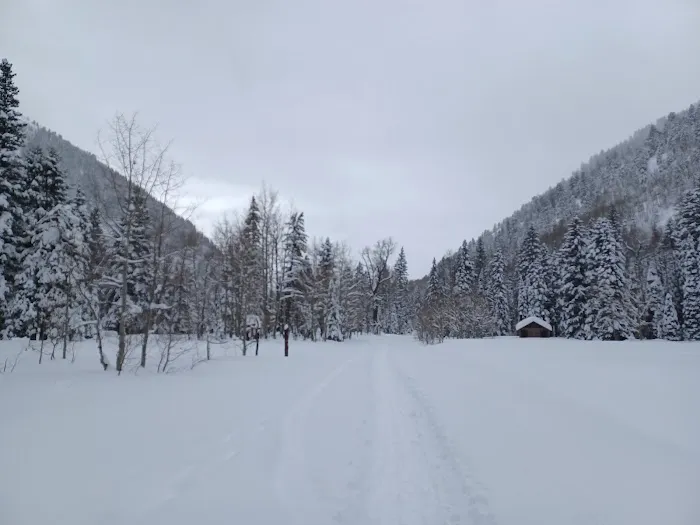 Snowslide Campground Picture 6