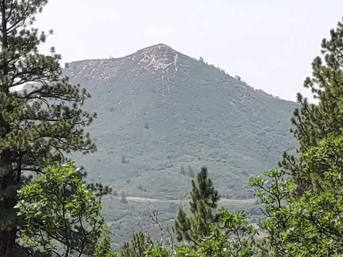 Target Tree Campground Picture 1