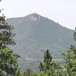 Target Tree Campground